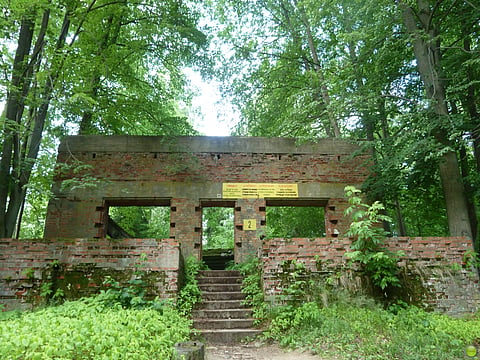 The Wolf's Lair
