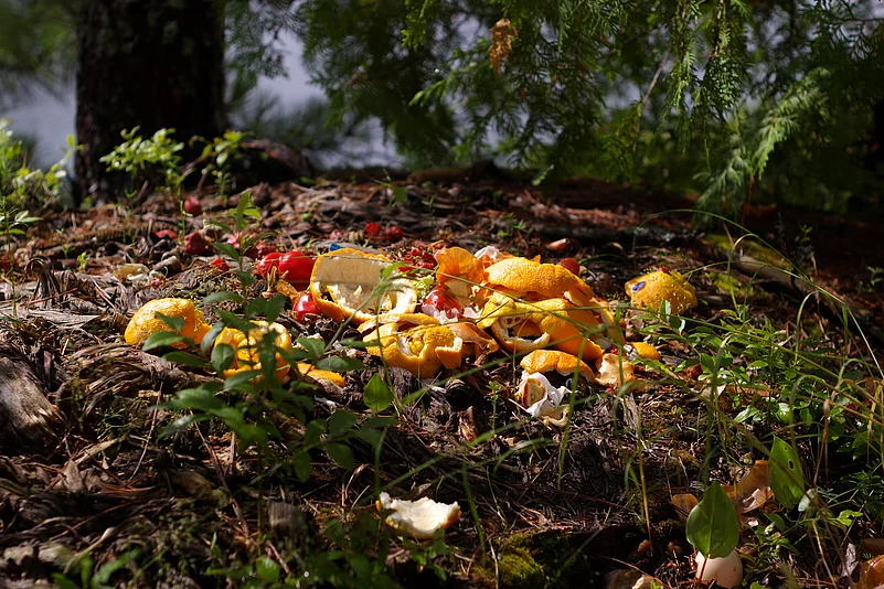 Composting organic matter