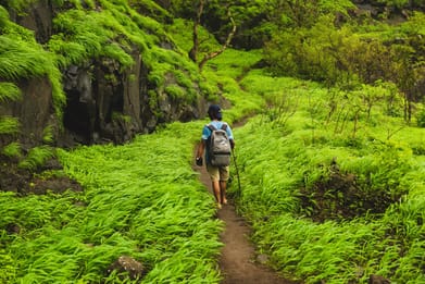Shutterstock : Tamil Nadu has its unique list of hill stations
