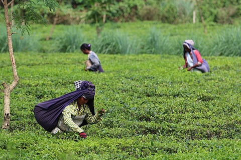 For representational purpose only