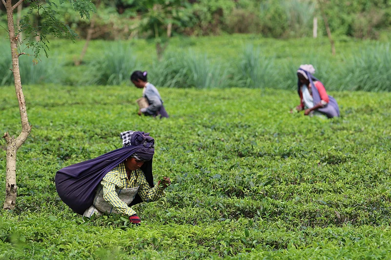 For representational purpose only