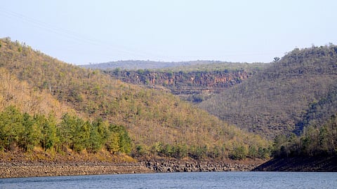 Nallamala Hills is close to Nagarjunasagar Srisailam Tiger Reserve