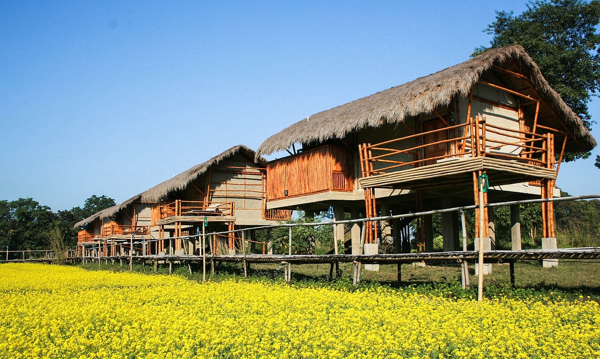 Traditional stilted huts in Diphlu River Lodge
