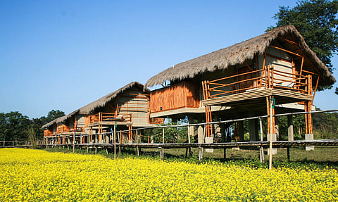 Traditional stilted huts in Diphlu River Lodge