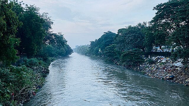 The Nag river