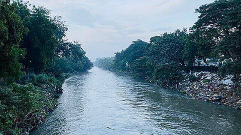 The Nag river
