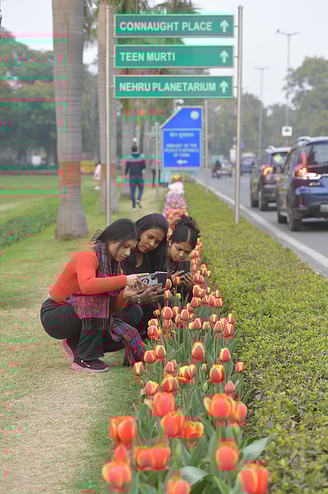 People indulge in photography at a previous edition of the festival