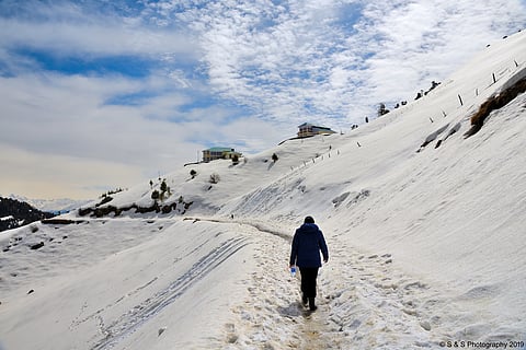 Listen to the wind, the rustling of leaves and be mindful of the loudness of your voice