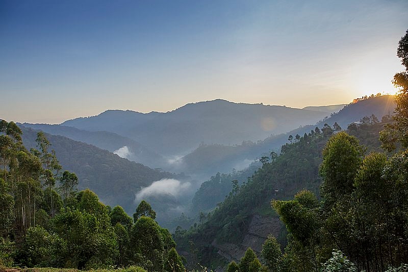 Bwindi National Park