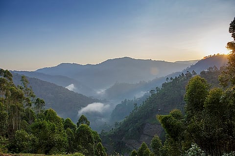 Bwindi National Park