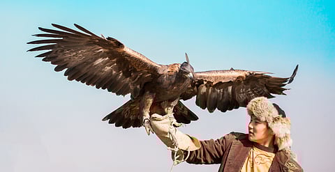 Berkutchi with golden eagle in Shymkent