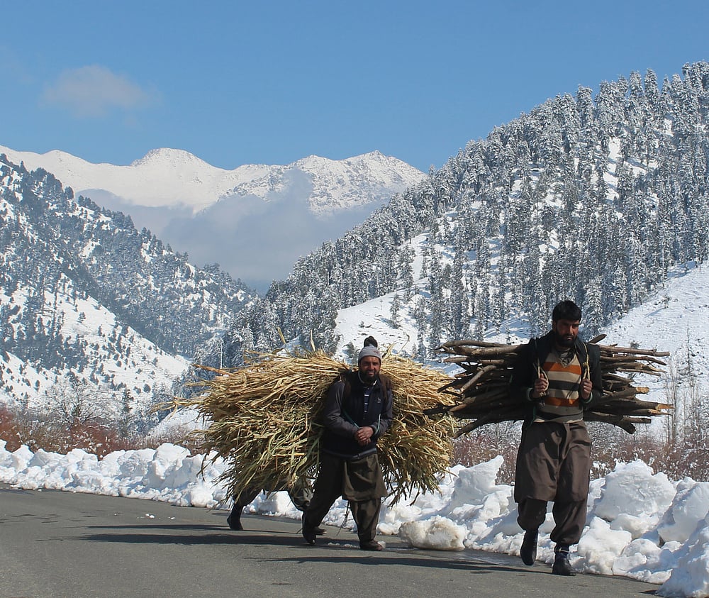 Men carrying maize and pine wood in the Daksum area 