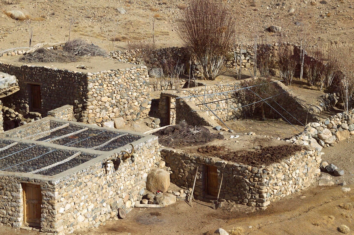 It was SLC-IT that introduced meshes and nets in Ladakh