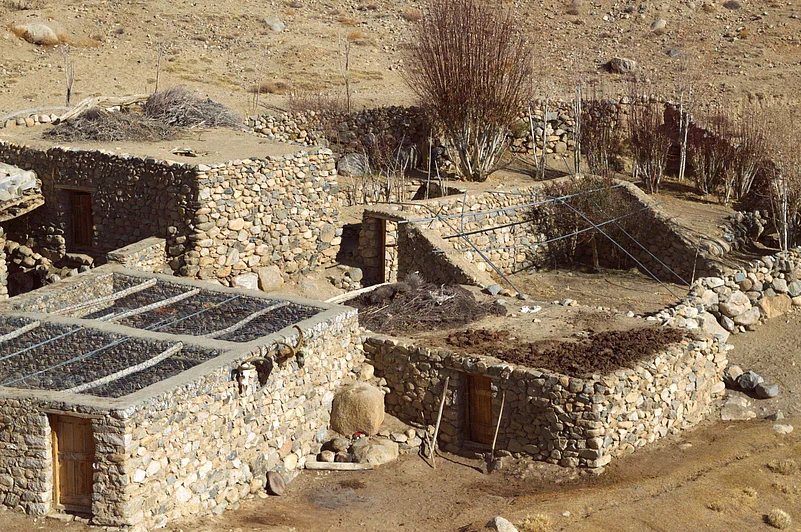 It was SLC-IT that introduced meshes and nets in Ladakh