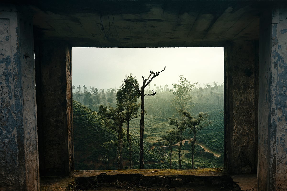 Valparai is adorned with sprawling tea and coffee estates