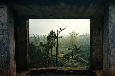 Valparai is adorned with sprawling tea and coffee estates