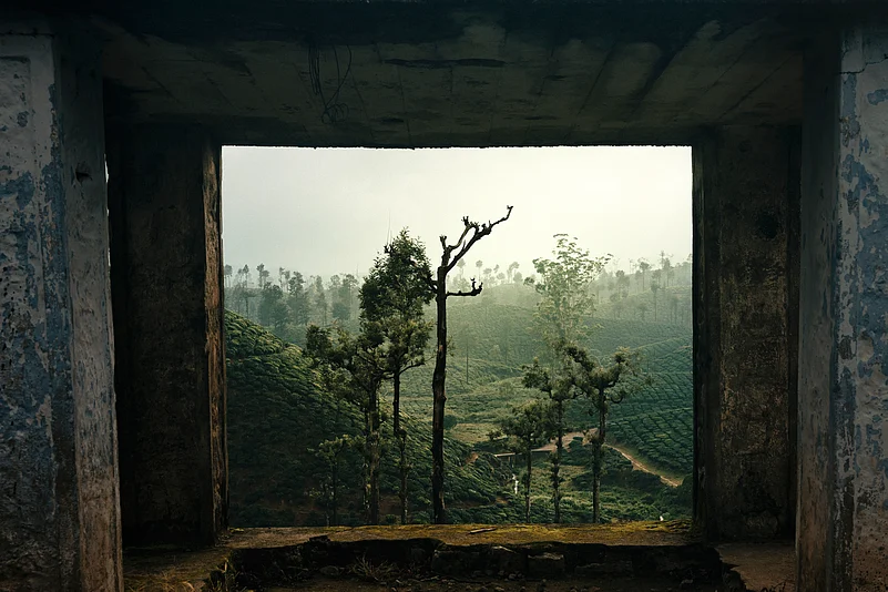 Valparai is adorned with sprawling tea and coffee estates