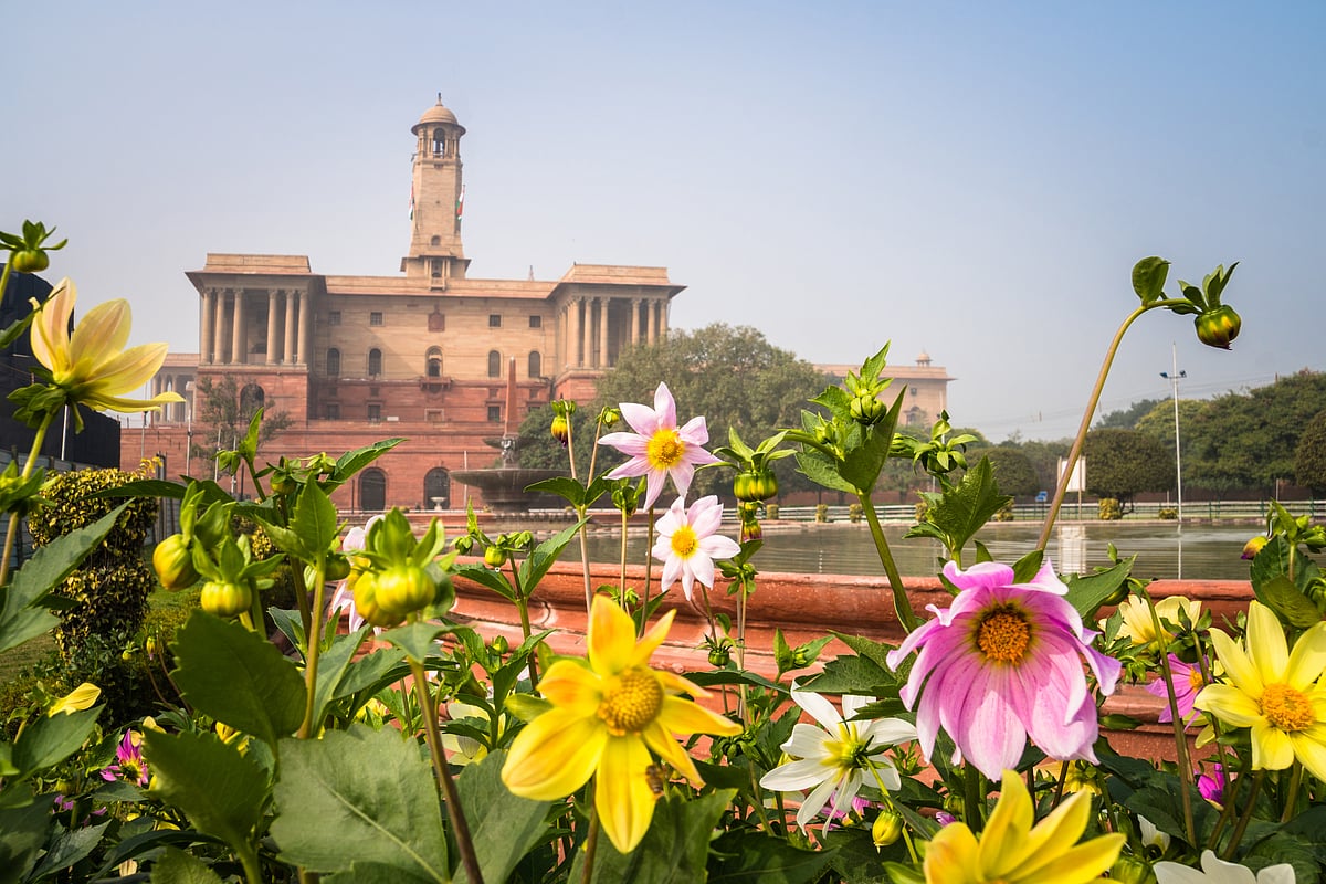 Flowers in Amrit Udyan