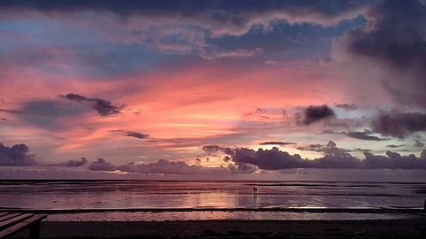 Bordi Beach is half an hour's drive from Dhanu, which too is marked by the presence of Casuarina trees, coconut groves, and Chikoo Orchards