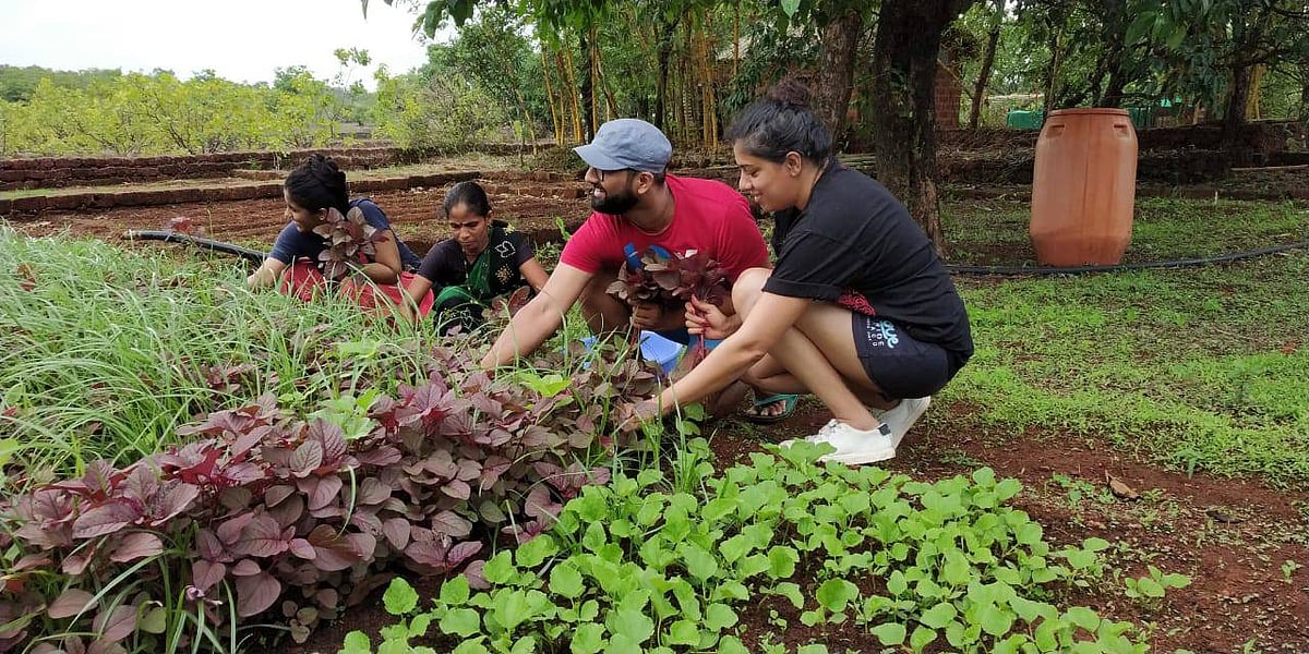 Guests can partake in farming activities 