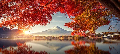Shutterstock : Japan offers plenty of beautiful experiences for curious travellers
