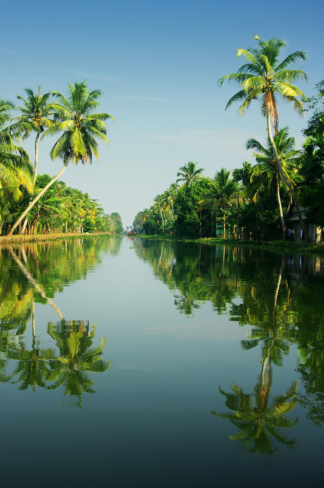 A view of the Kerala backwaters