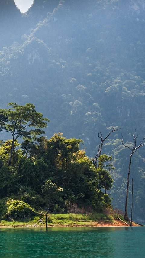 Green island in Cheow Lan Lake