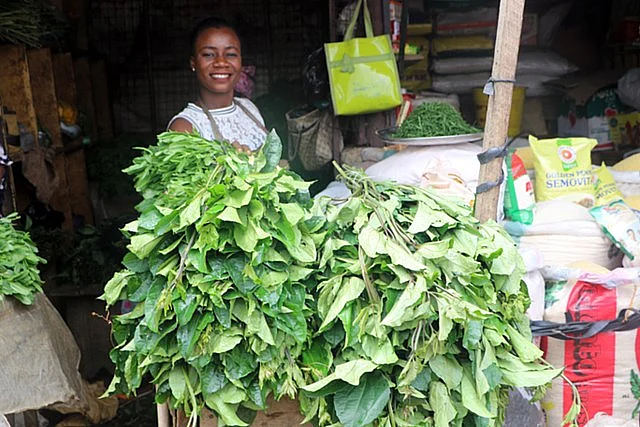 A woman selling ugu in Abuja, Nigeria