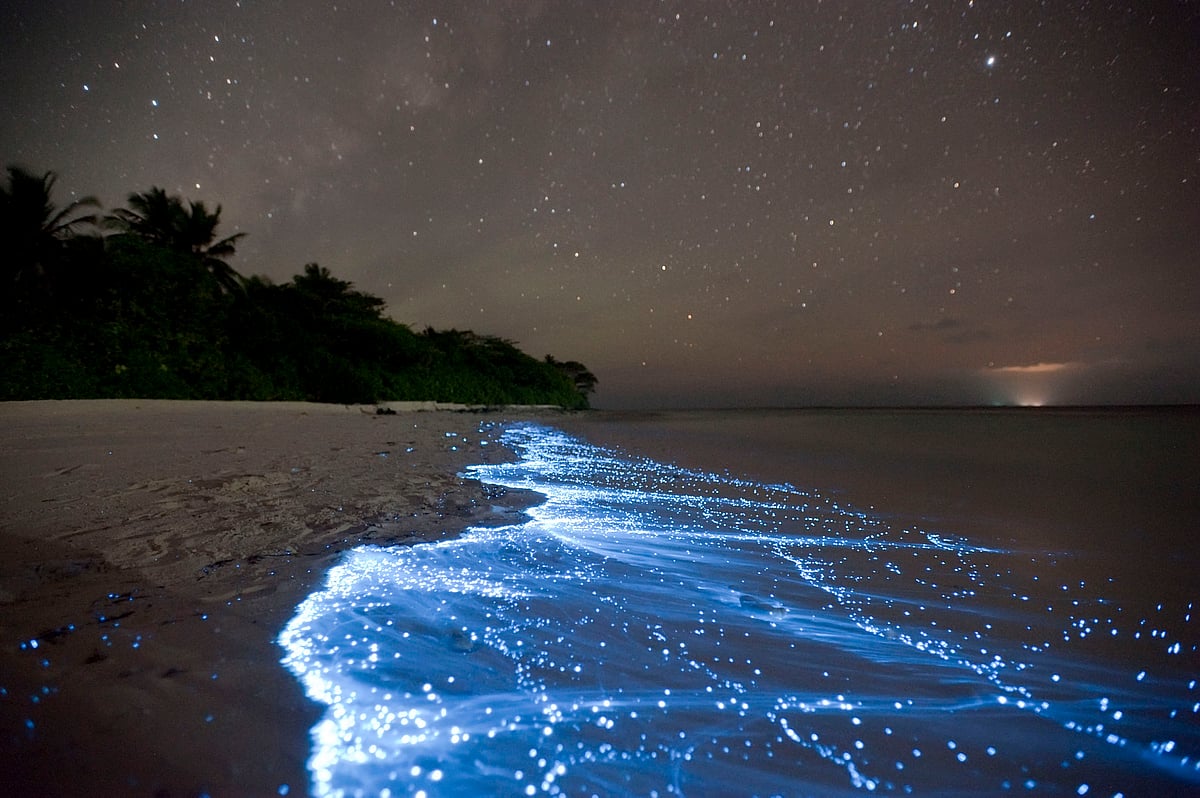 Copyright: Doug Perrine/Barcroft Media : A beach on Vaadhoo Island