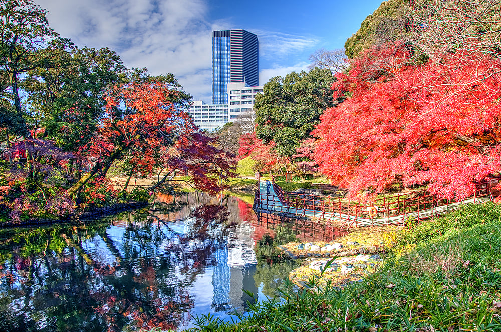 Autumn Colors in Koishikawa Korakuen Garden, Tokyo