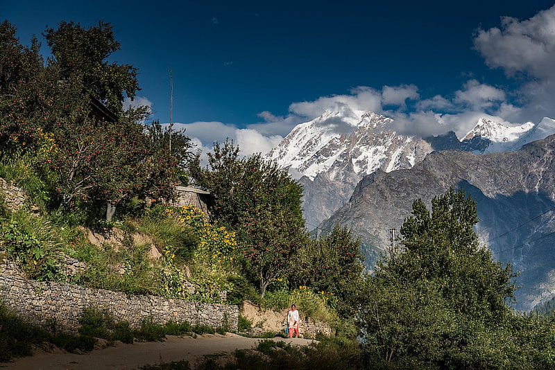 A village road in Pangi valley