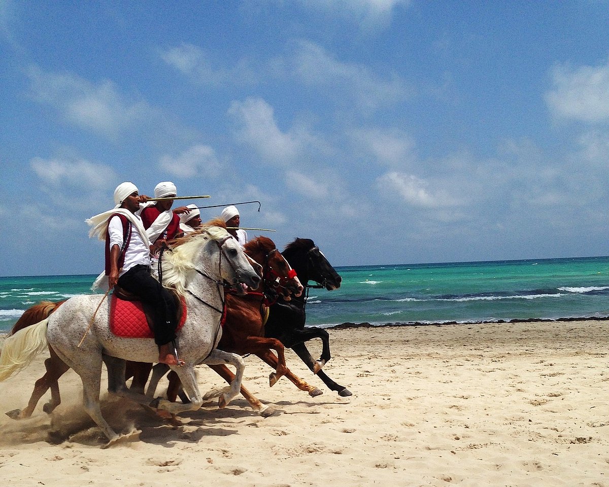 Horse riders on the coast of Djerba