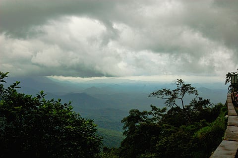 The Wayanad ghats