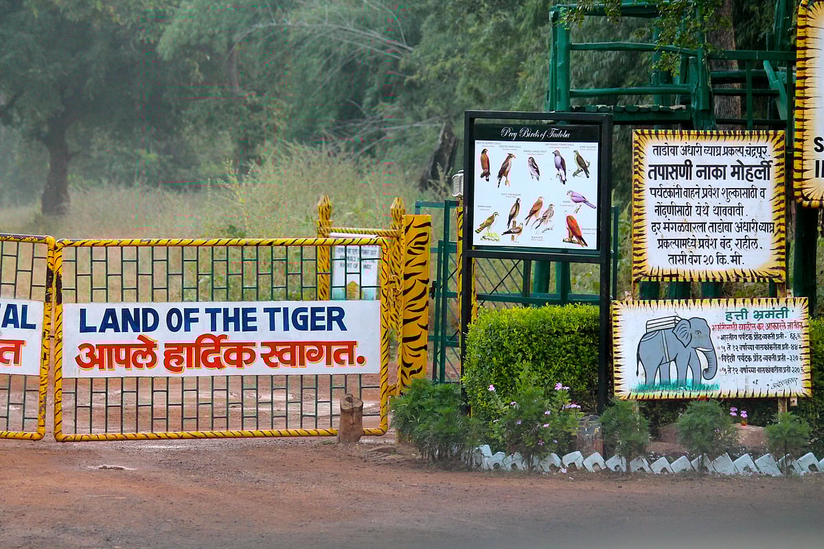 There are at least five willdife parks that are easily accessible from Nagpur