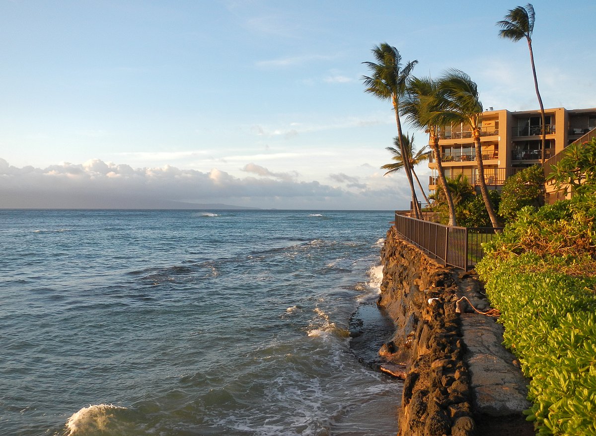 The island of Maui witnessed devastating wildfires in 2023