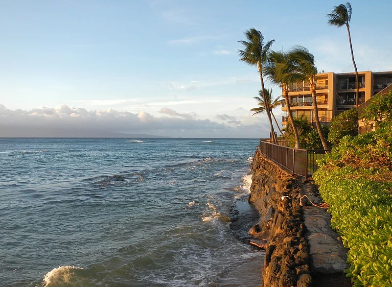 The island of Maui witnessed devastating wildfires in 2023