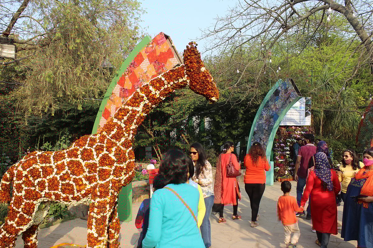 Shutterstock : Apart from the flower show, the festival will also have several activities and events for the visitors to enjoy