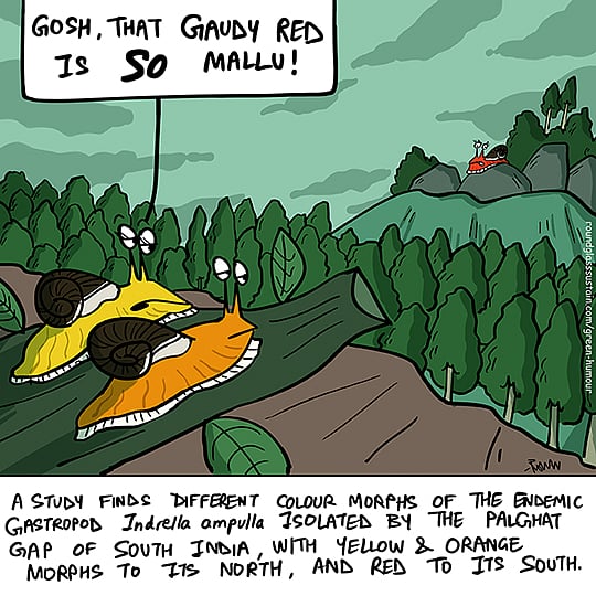 A recent comic strip