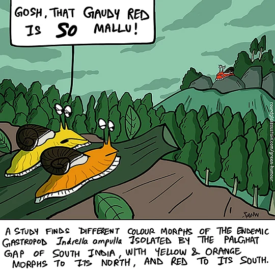 A recent comic strip