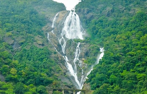 The Dudhsagar Falls