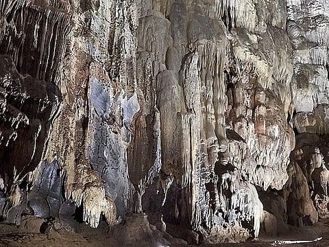 Phong Nha's Cave Adventure