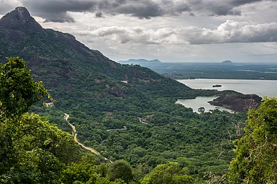 Flickr: Biju M : Loams Viewpoint in Valparai