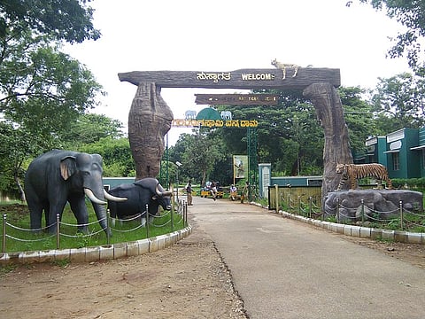 Entry gate to BRT Tiger Reserve