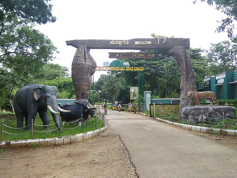 Entry gate to BRT Tiger Reserve
