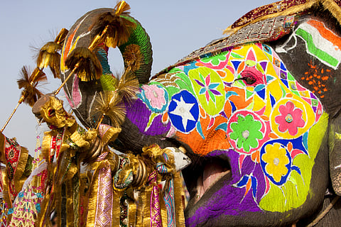 Glimpses of Elephant Festival