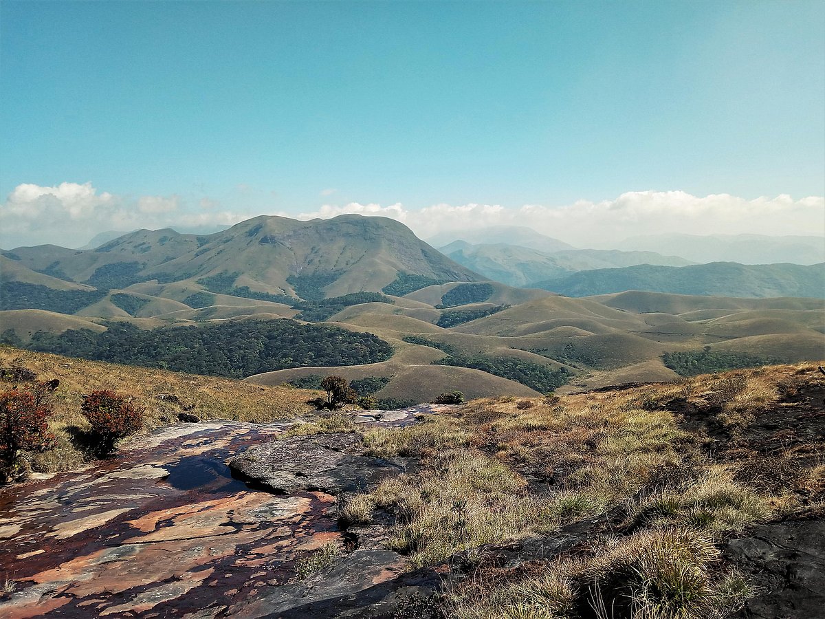 Grass HIlls is a feast for the eyes