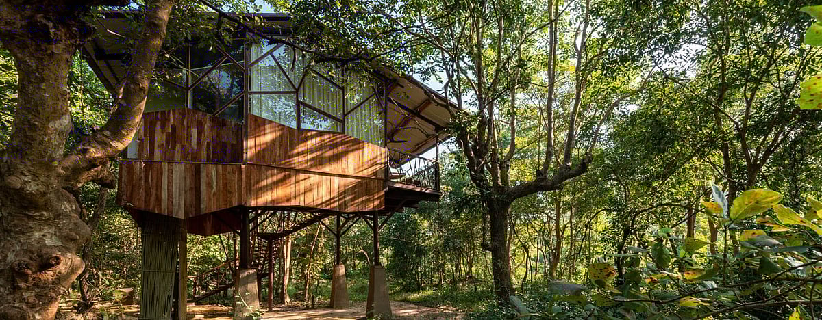 Indulge in the luxury of tree house like elevated cottages