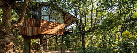 Indulge in the luxury of tree house like elevated cottages
