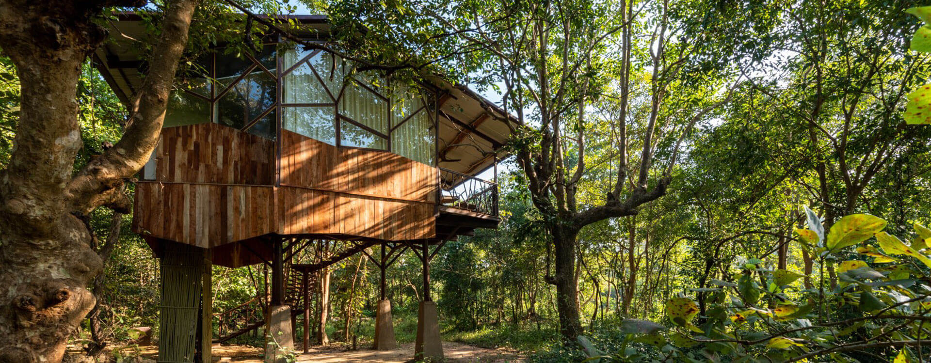 Indulge in the luxury of tree house like elevated cottages