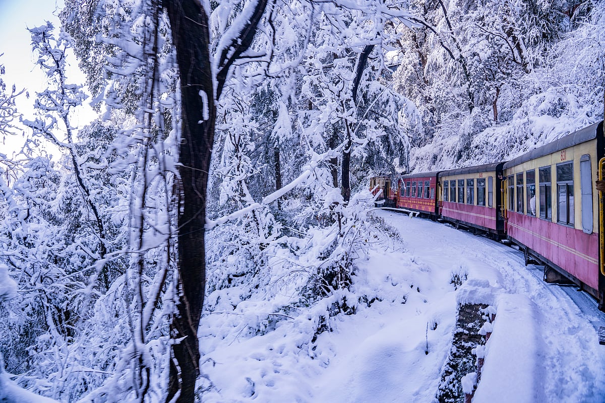 shalender on Shutterstock.com : Heavy snowfall hits Shimla